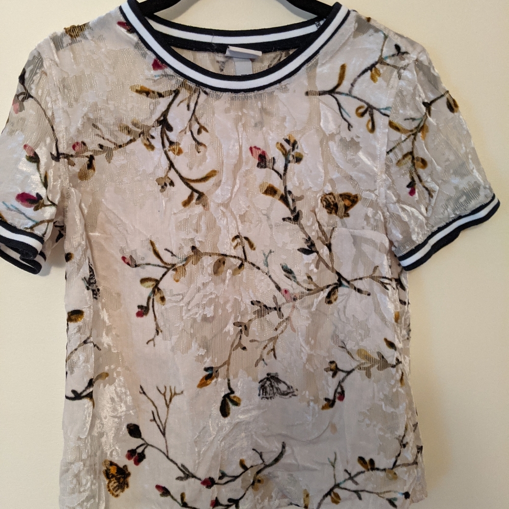 A exquisit blouse!!! Velvet and transoarent